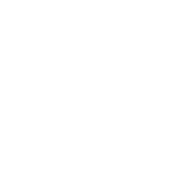 Action - Guitar